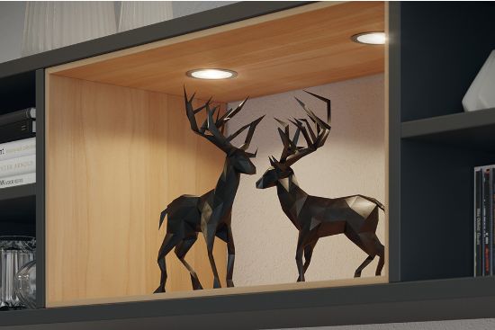 Obrazek Oprawa LOOX LED 2047 4000K stal nierdzwna