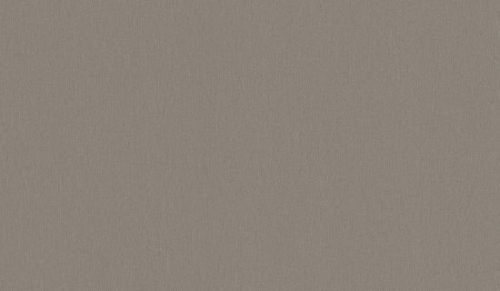 Obrazek classic F501 ST 2 Szczotkowane aluminium