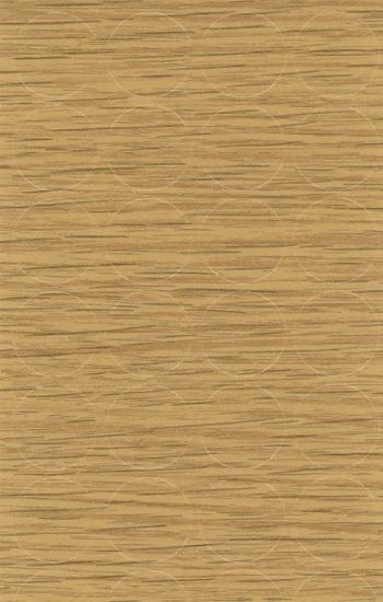 Obrazek Zaślepka samoprzylepna Dąb