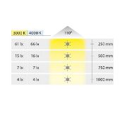 Obrazek Oprawa cokołowa Loox5 3101 12V 3000K 0,3W